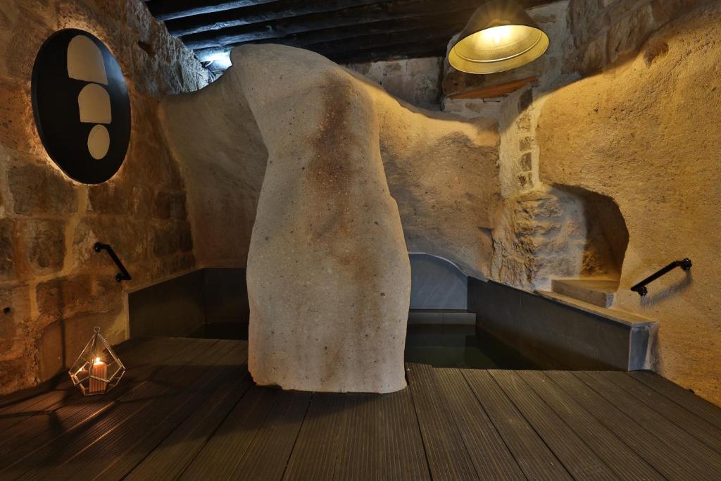 romantic cave pool room